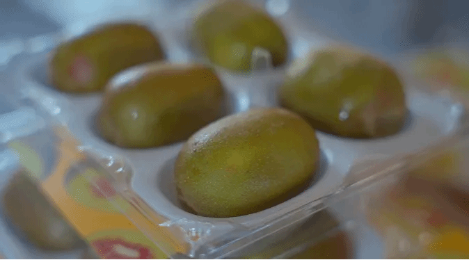 Z6·尊龙「中国区」官方网站