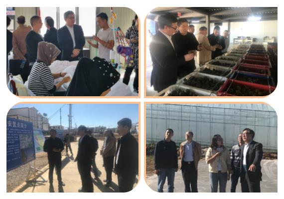 Z6·尊龙「中国区」官方网站