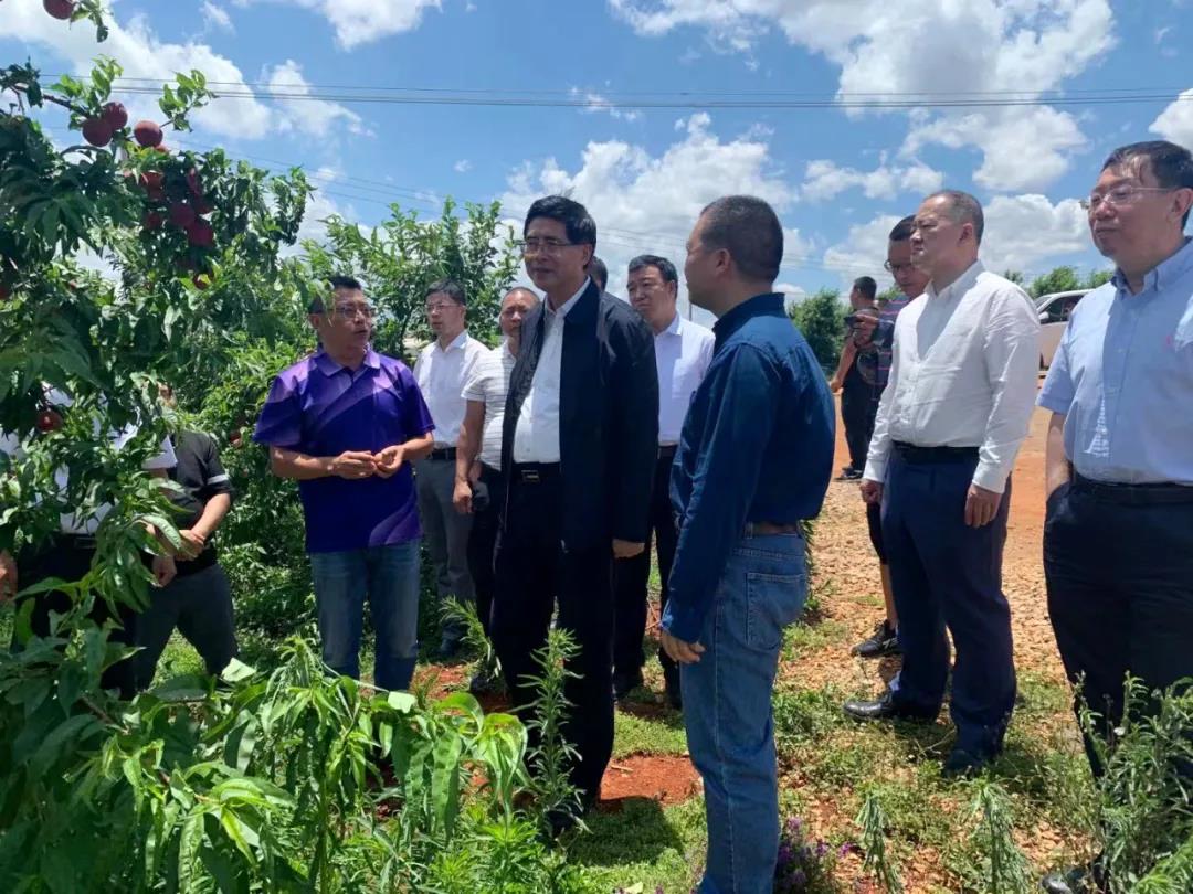 Z6·尊龙「中国区」官方网站