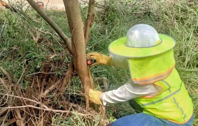 Z6·尊龙「中国区」官方网站