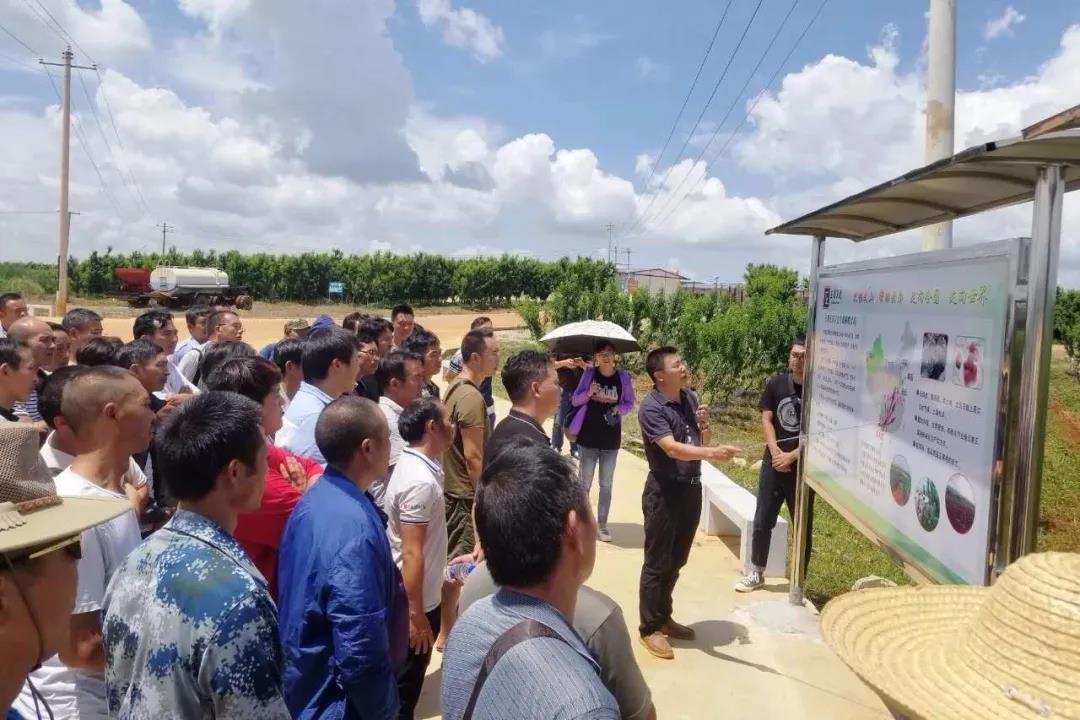 Z6·尊龙「中国区」官方网站