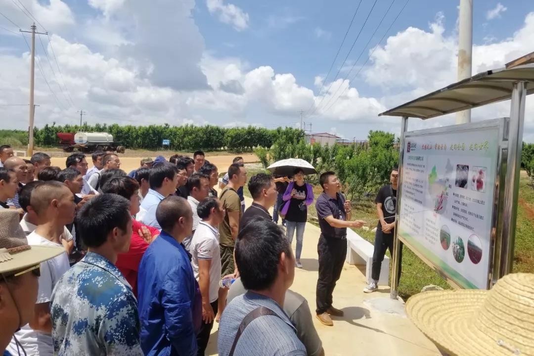 Z6·尊龙「中国区」官方网站