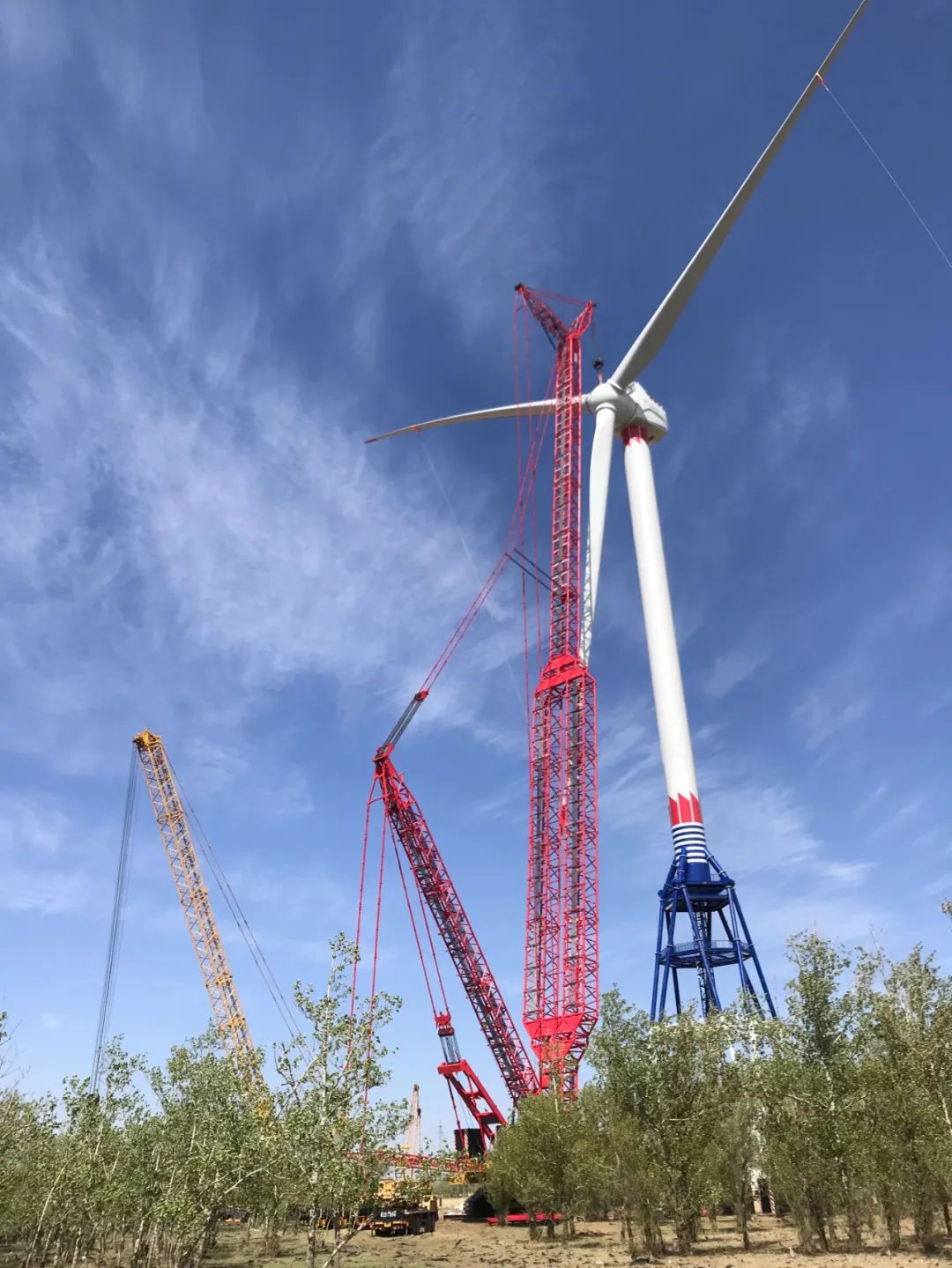 Z6·尊龙「中国区」官方网站