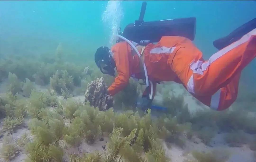 Z6·尊龙「中国区」官方网站